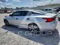 2017 Nissan MAXIMA photo