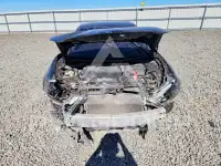 2017 Nissan MAXIMA photo