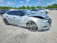 2017 Nissan MAXIMA photo