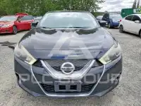 2017 Nissan MAXIMA photo