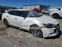 2017 Nissan MAXIMA photo