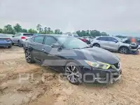 2017 Nissan MAXIMA photo