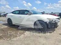 2017 Nissan MAXIMA photo