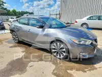 2017 Nissan MAXIMA photo