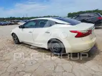 2017 Nissan MAXIMA photo