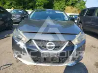 2017 Nissan MAXIMA фото