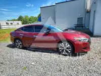 2017 Nissan MAXIMA фото