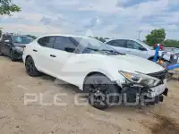 2017 Nissan MAXIMA photo