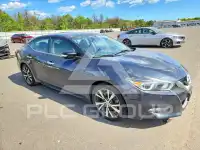 2017 Nissan MAXIMA фото