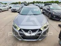 2017 Nissan MAXIMA photo
