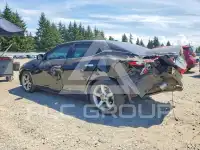 2017 Nissan MAXIMA photo