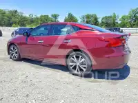 2017 Nissan MAXIMA photo