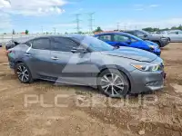 2017 Nissan MAXIMA photo