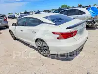 2017 Nissan MAXIMA photo