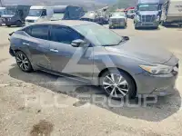 2017 Nissan MAXIMA photo