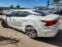 2017 Nissan MAXIMA photo