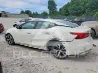 2017 Nissan MAXIMA photo