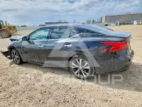 2017 Nissan MAXIMA photo