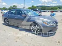 2017 Nissan ALTIMA фото