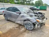 2017 Nissan ALTIMA фото