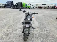 2017 Harley-Davidson XG500 photo