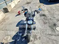 2017 Harley-Davidson FL photo