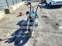 2017 Harley-Davidson FL photo