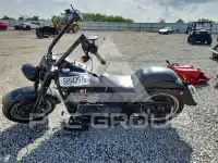 2017 Harley-Davidson FL фото
