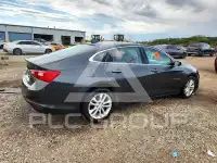 2017 Chevrolet Malibu photo