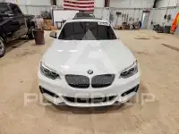2017 BMW M2 photo
