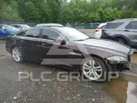 2017 Jaguar XJ photo