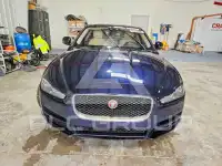 2017 Jaguar XE фото