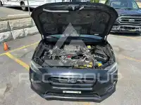 2017 Subaru WRX photo