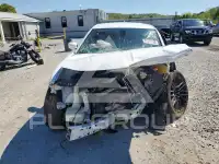 2017 Dodge CHARGER photo