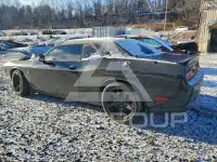 2017 Dodge CHALLENGER фото