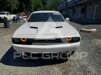 2017 Dodge CHALLENGER photo