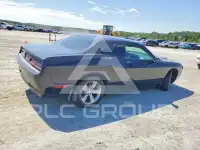 2017 Dodge CHALLENGER photo