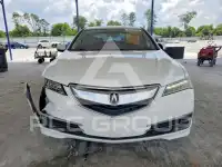 2017 Acura TLX фото