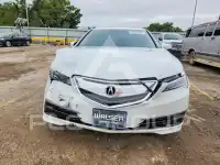 2017 Acura TLX photo