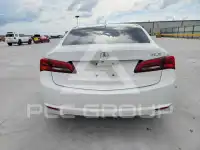 2017 Acura TLX photo