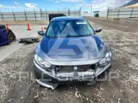 2017 Honda CIVIC фото