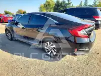 2017 Honda CIVIC фото
