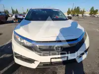 2017 Honda CIVIC фото
