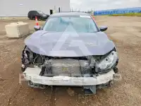 2017 Honda CIVIC photo