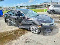 2017 Honda CIVIC фото
