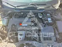 2017 Honda CIVIC фото
