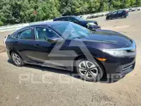 2017 Honda CIVIC фото