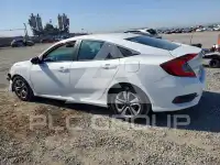 2017 Honda CIVIC photo