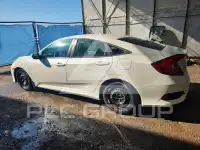 2017 Honda CIVIC photo