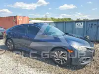 2017 Honda CIVIC фото